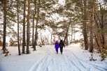 В понедельник в Амурской области небольшая облачность и без осадков