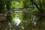 Вдоль реки Бурхановки в Благовещенске в этом году установят лавочки и малые архитектурные формы