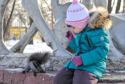 Ясная погода и весенние -8: прогноз погоды в Амурской области