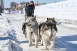 Дневная температура в Амурской области потихоньку растет вверх: в регионе от -5 до -18 градусов