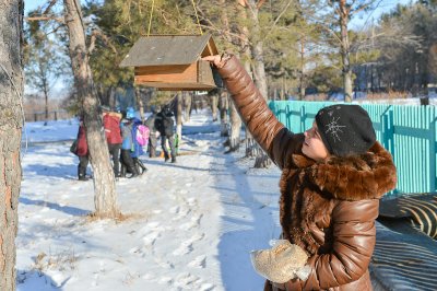 Ветер с юга принесет тепло: какой будет пятница в Амурской области