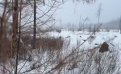 Скрин видео @welcome_to_amur