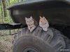 Как коты согревают сердца амурских бойцов в зоне спецоперации