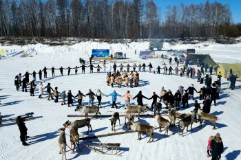 Как северная Усть-Уркима отпраздновала День оленевода и чем привлекает туристов