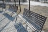 Как спасти сквер от голубей: популярное место отдыха в Благовещенске испортила стая птиц