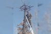 В двух амурских заказниках устанавливают корзины под строительство аистиных гнезд