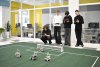 В центре «IT-куб» Благовещенска роботы сыграли в футбол