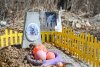Кладбище домашних животных вне закона: как амурчане прощаются с питомцами (фото)