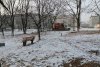 Во дворе многоэтажки поселка Прогресс обустроят волейбольное поле и воркаут-зону