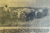 Амурские колхозники используют нетрадиционных животных: факты о военном времени из архива АП