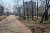 В Белогорске началось благоустройство второй очереди «Аллеи молодежи»