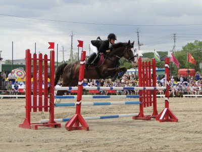 В Благовещенске пройдет открытый турнир по конному спорту