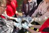 Непогода сдвинула сроки проведения акции по уборке берега реки Зеи в амурской столице