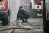 За поджог кроссовера в Чигирях гражданин Центральной Азии отправится в колонию-поселение