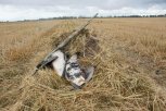 На севере Амурской области стартовала охота на водоплавающую дичь