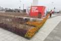 Фото: Пресс-служба администрации Благовещенска
