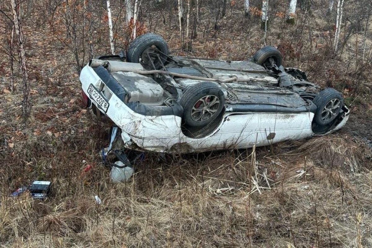 Фото: Госавтоинспекция Амурской области