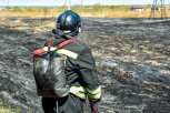 Почти миллион штрафов: в Приамурье за сутки десять раз тушили палы