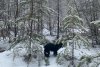 В воскресенье на севере Приамурья пройдет мокрый снег