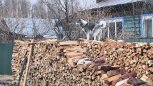 Северный ветер снизил температуру воздуха в Амурской области до +3 градусов