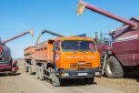 В Амурской области стартовал сев сои