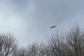 Фото: Амурский центр ГЗ и ПБ