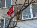 Фото: Пресс-служба мэрии Благовещенска