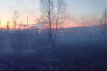 Пал сухой травы на площади в 50 гектаров ликвидировали возле села Тамбовского округа