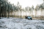 Незаконная рубка леса обошлась амурчанину почти в 100 раз дороже стоимости легального разрешения