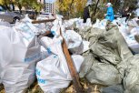 Амурских эковолонтеров зовут навести чистоту на берегу реки Зеи