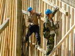Застройщиков Приамурья лишат квот на иностранных рабочих за незаконное трудоустройство мигрантов