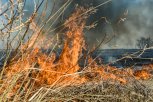 18-летнего амурчанина ждет штраф за поджог сухой травы на станции Арга