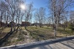 Дендрологи помогут выбрать деревья для озеленения будущего «народного сквера» в Благовещенске