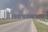 Крупный лесной пожар около Циолковский полностью ликвидировали