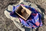 В микрорайоне Благовещенска спасли провалившуюся в подвал ондатру