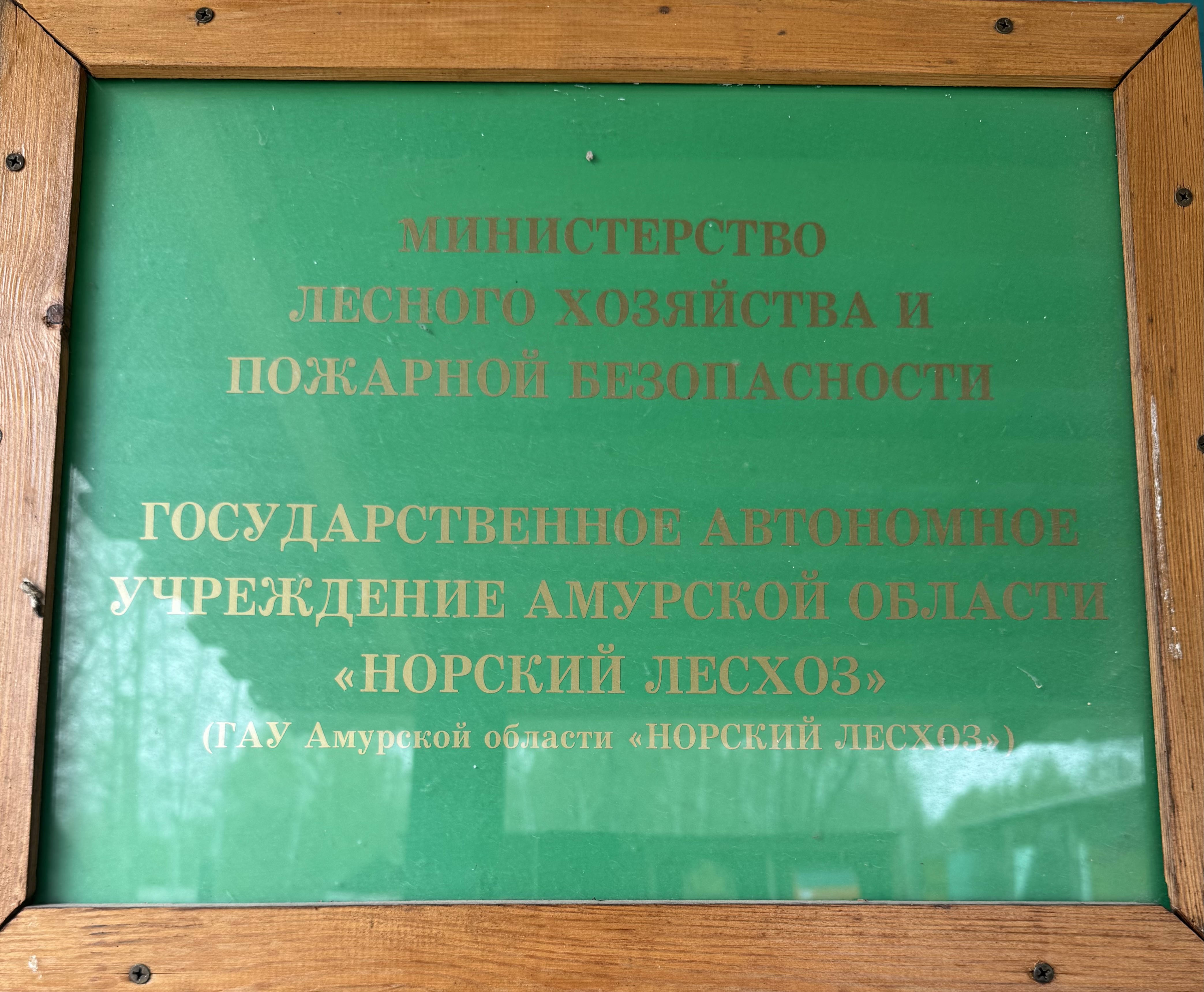 Фото: ГАУ Амурской области "Норский лесхоз"