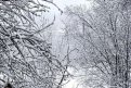 Фото: t.me/tamara_lysakova
