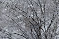 Фото: Подписчики t.me/gazeta_bam