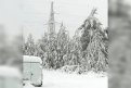 Фото: Амурские электрические сети