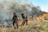 Непогода и огнеборцы помогли нормализовать лесопожарную обстановку в Приамурье