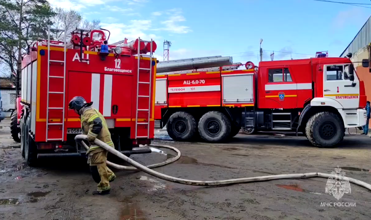 Фото: Скриншот видео ГУ МЧС России по Амурской области