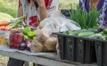 Благовещенским уличным торговцам напомнили, где законно можно продавать свою продукцию