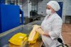 Экспертная комиссия «Медаль АмурЭкспо» оценила сыр и печенье благовещенских предприятий