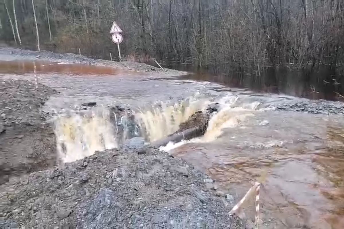 Фото: Скриншот видео читателей АП