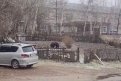 Фото: Скриншот видео из соцсетей