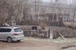 Из-за визитов медведя в поселок Тындинского округа прибыли вооруженные специалисты