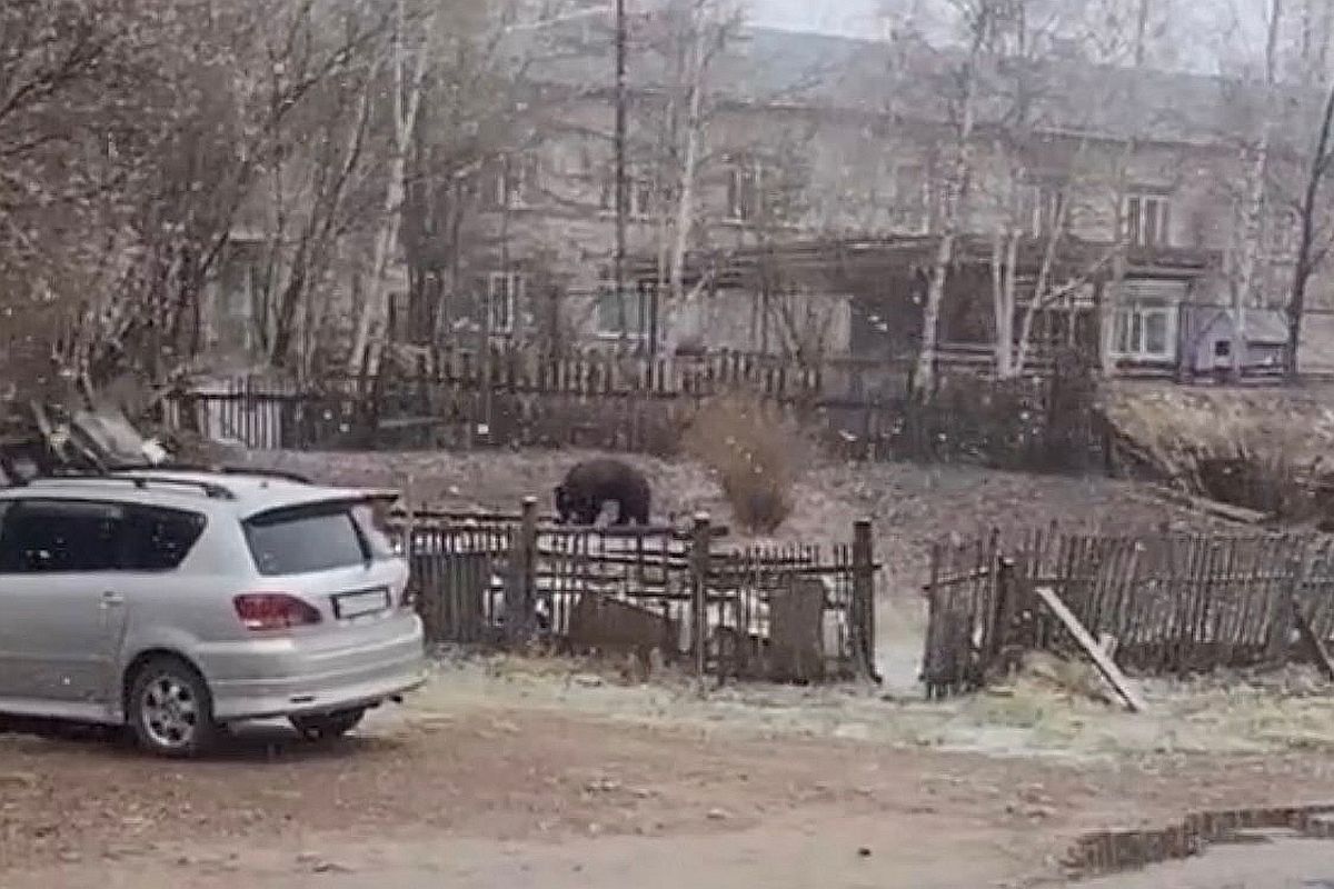 Фото: Скриншот видео из соцсетей