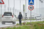 Прохладно и ветрено: в Амурской области до +14 градусов, возможны дожди
