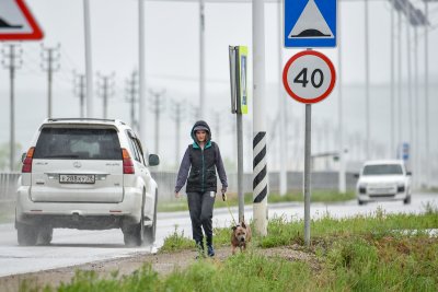 Прохладно и ветрено: в Амурской области до +14 градусов, возможны дожди