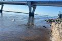 Фото: ГУ МЧС России по Амурской области
